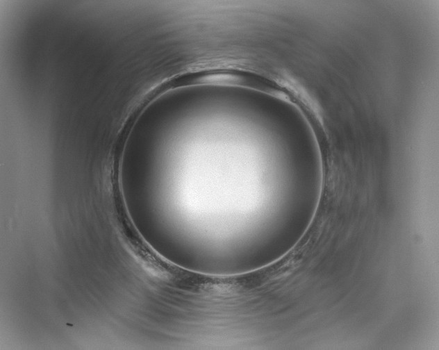 X0000076320107200609291104