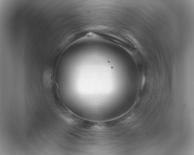X0000076320119200609291104