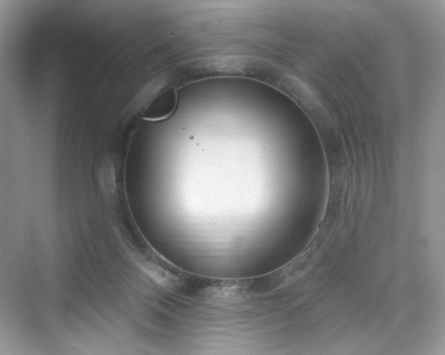 X0000076320120200609291104