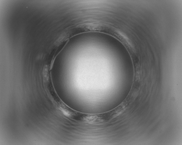 X0000076320121200609291104