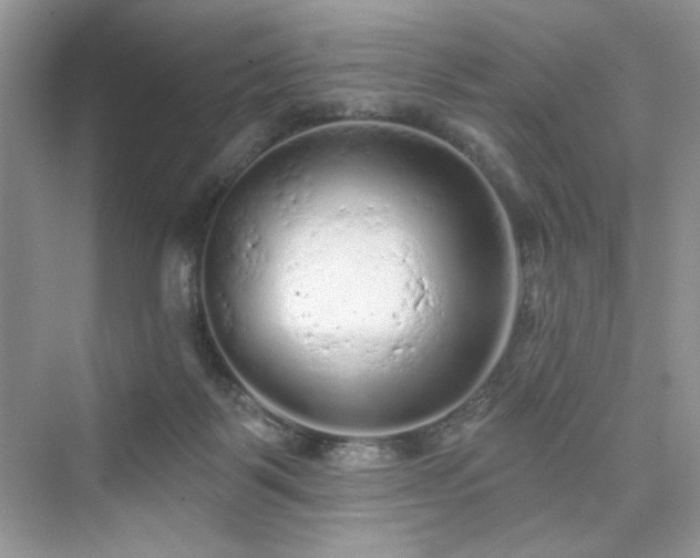 X0000076320123200609291104