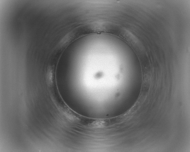 X0000076320124200609291104