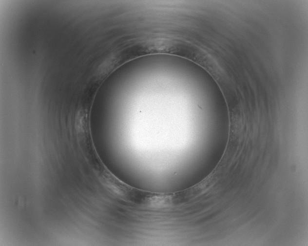 X0000076320126200609291104