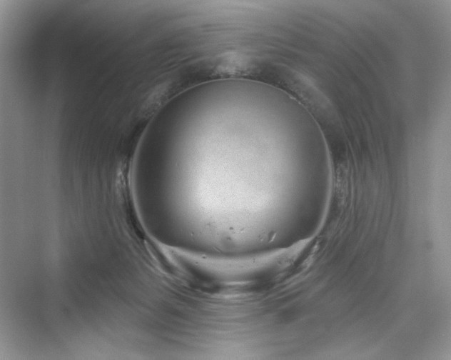 X0000076320127200609291104