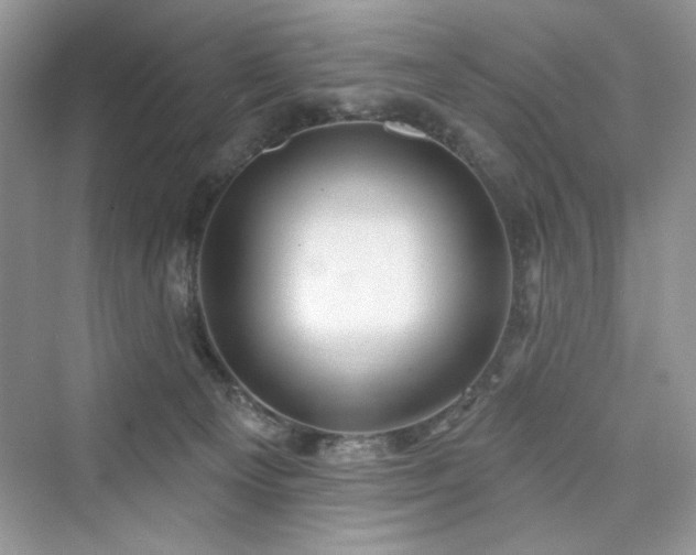 X0000076320129200609291104