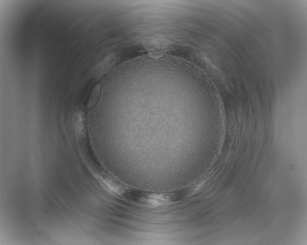 X0000076320130200609291104