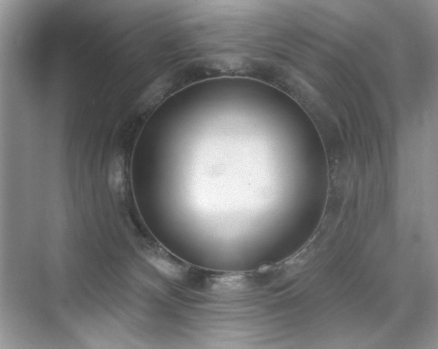 X0000076320132200609291104