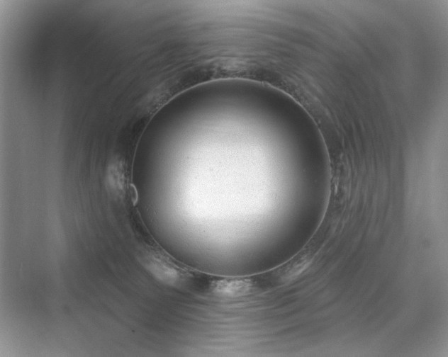 X0000076320135200609291104