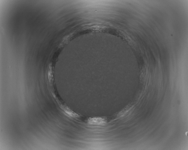 X0000076320137200609291104