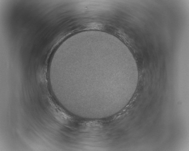 X0000076320146200609291103
