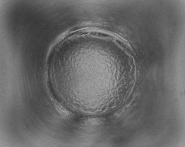 X0000076320149200609291103