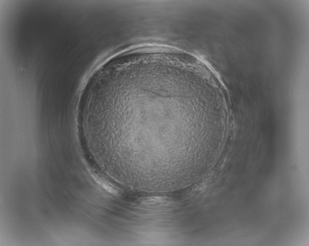 X0000076320151200609291103