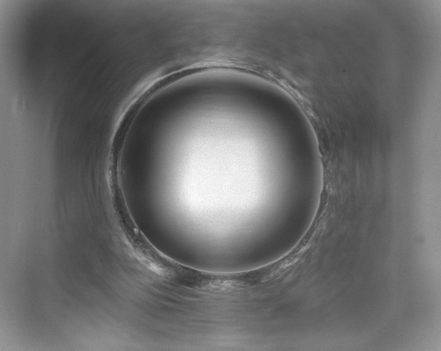 X0000076320152200609291103