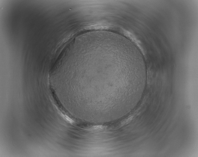 X0000076320153200609291103