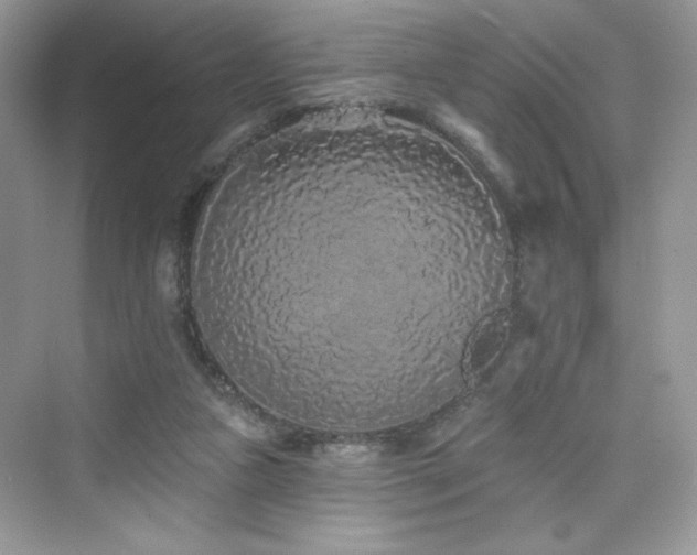 X0000076320161200609291103