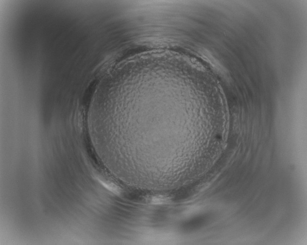X0000076320165200609291103