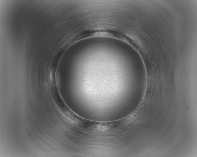 X0000076320166200609291103