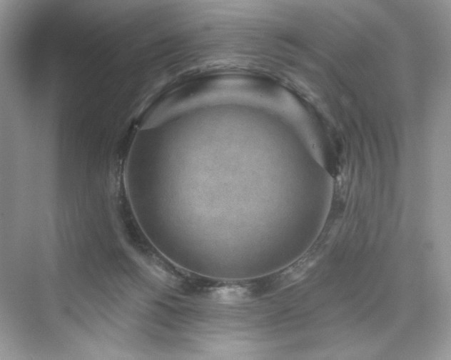 X0000076320168200609291103