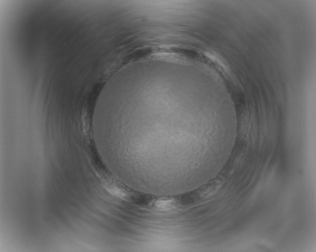 X0000076320173200609291103