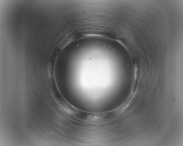 X0000076320174200609291103