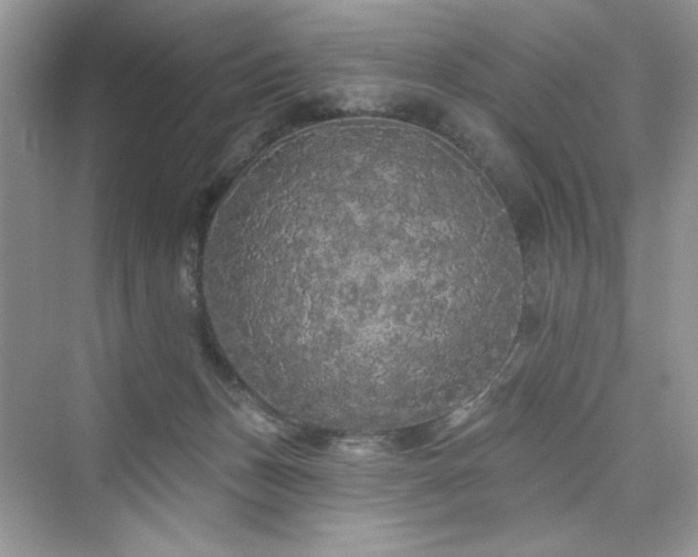 X0000076320175200609291103