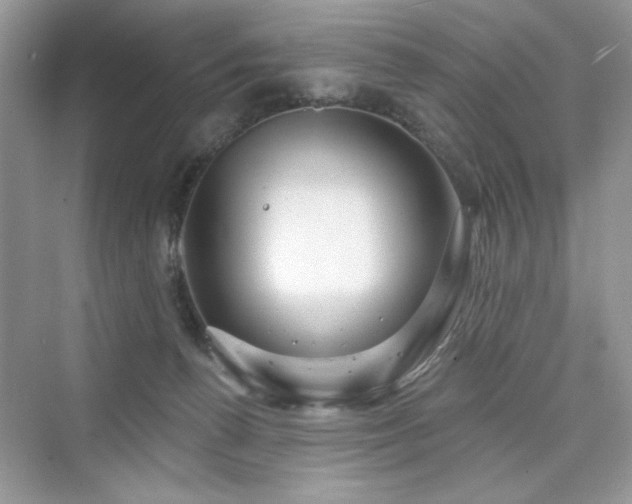 X0000076320176200609291103