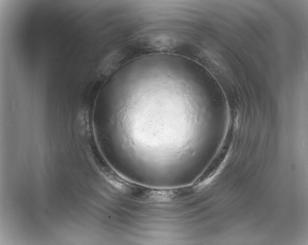X0000076320182200609291103