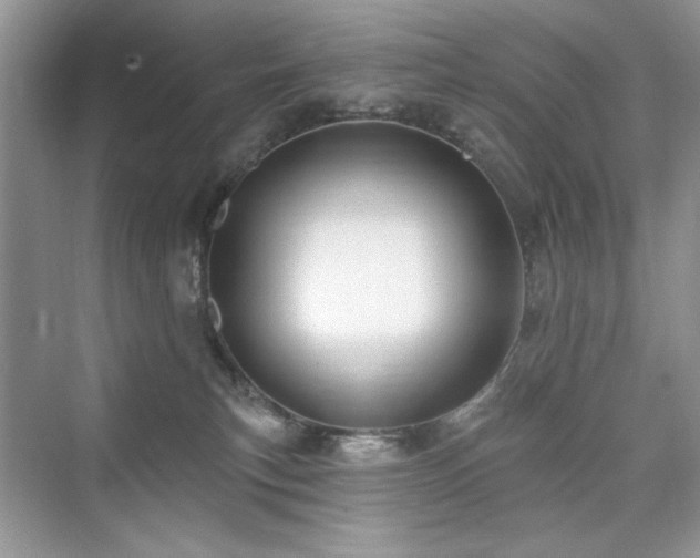X0000076320183200609291103