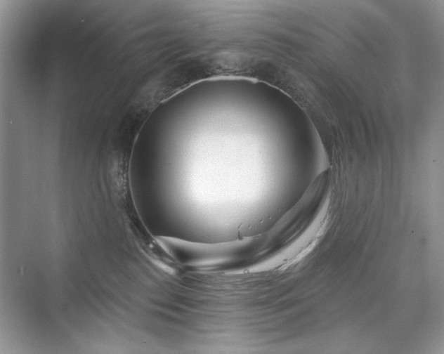 X0000076320186200609291104