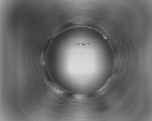 X0000076320187200609291104