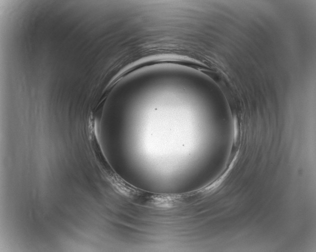 X0000076320190200609291104