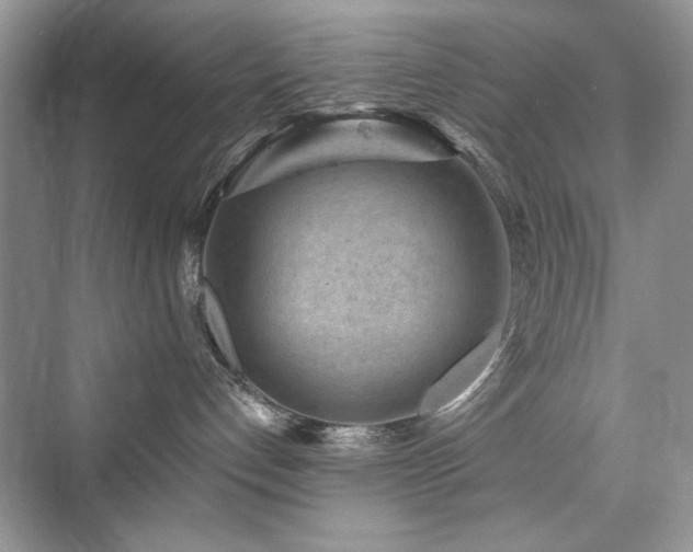X0000076320192200609291104