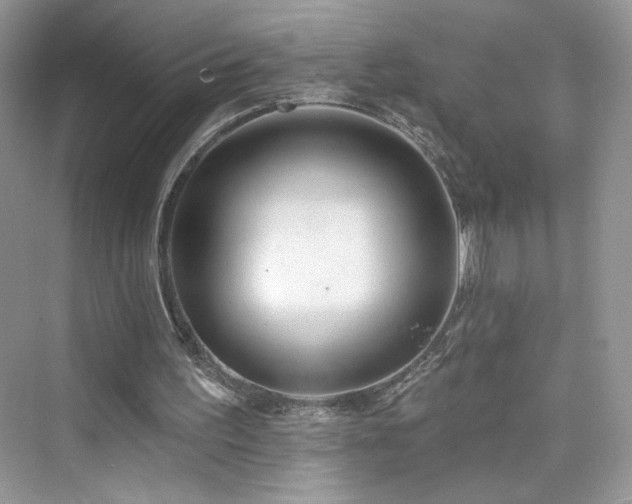 X0000076320195200609291103