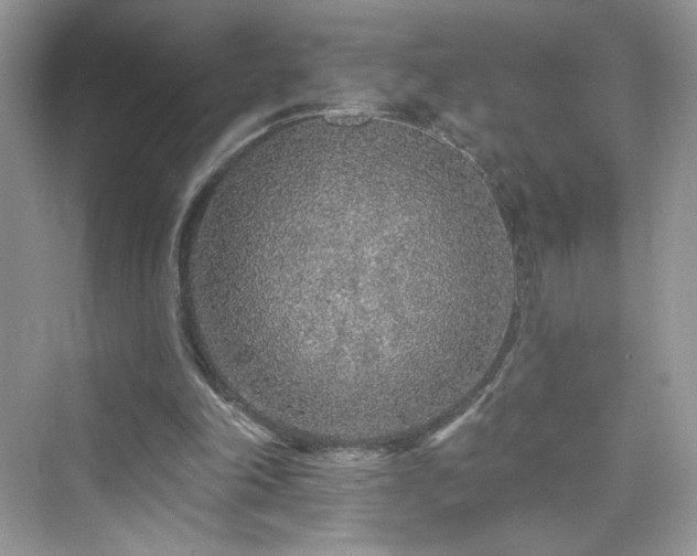X0000076320198200609291103