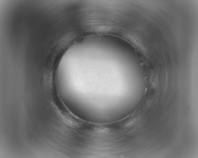 X0000076320206200609291103