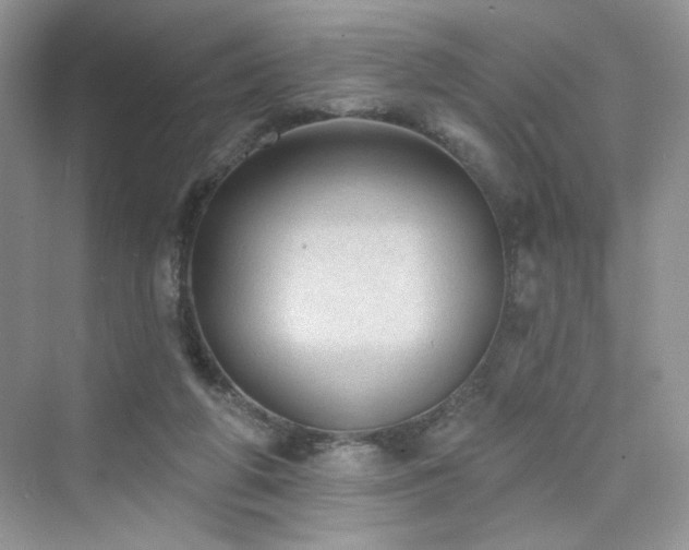 X0000076320210200609291103