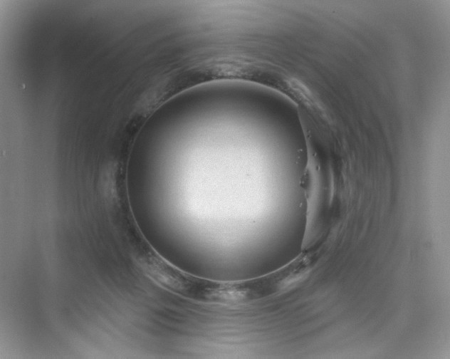 X0000076320217200609291102