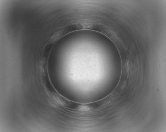 X0000076320218200609291102