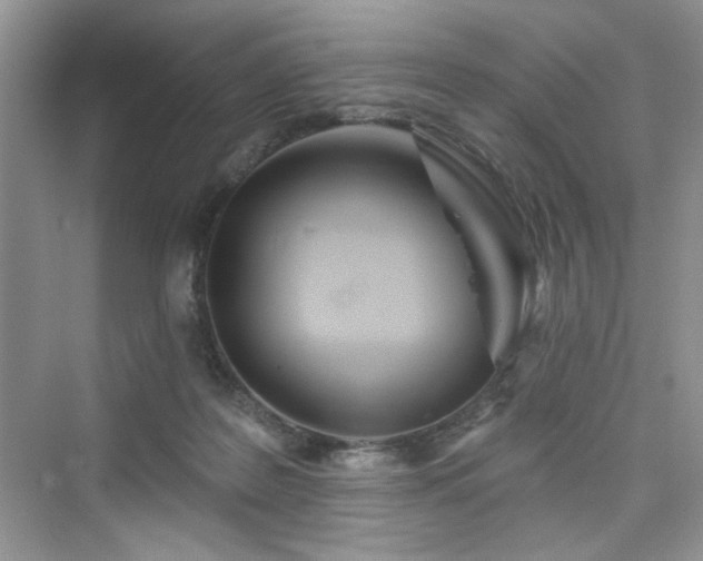 X0000076320219200609291102