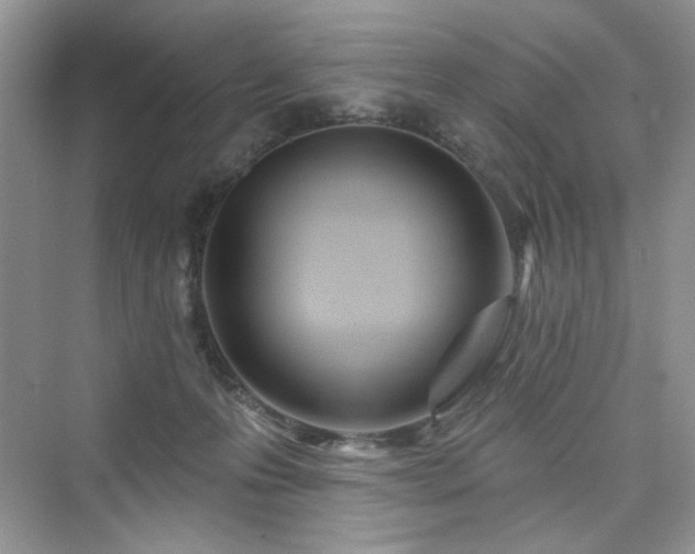 X0000076320223200609291102