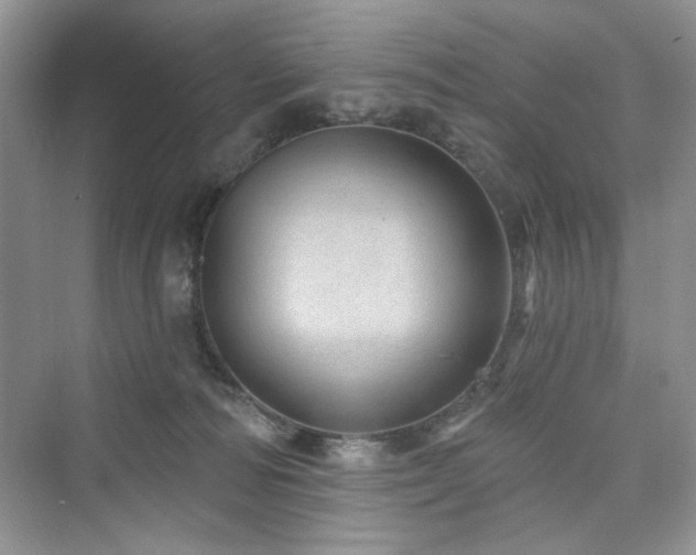 X0000076320226200609291102