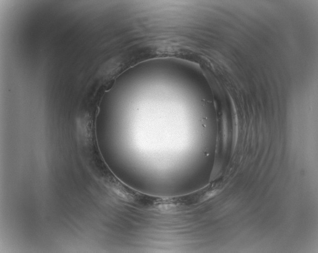 X0000076320228200609291102