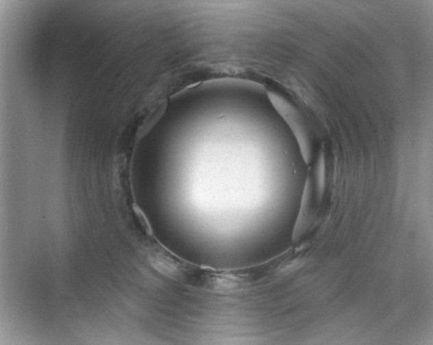 X0000076320229200609291102