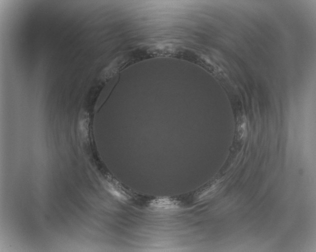 X0000076320231200609291102
