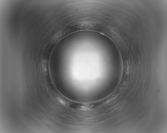 X0000076320232200609291102