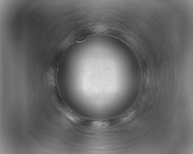 X0000076320234200609291102