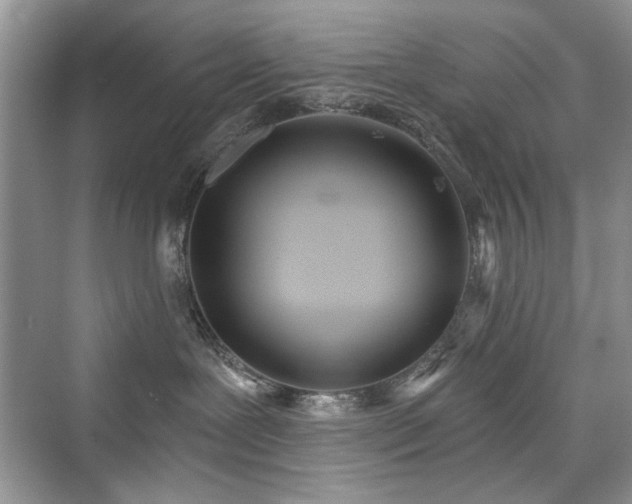 X0000076320239200609291102