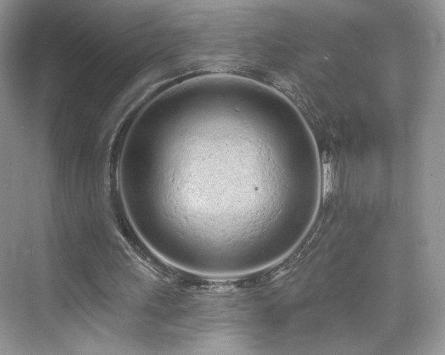 X0000076320243200609291101