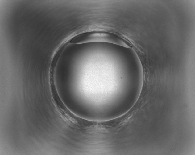 X0000076320244200609291101