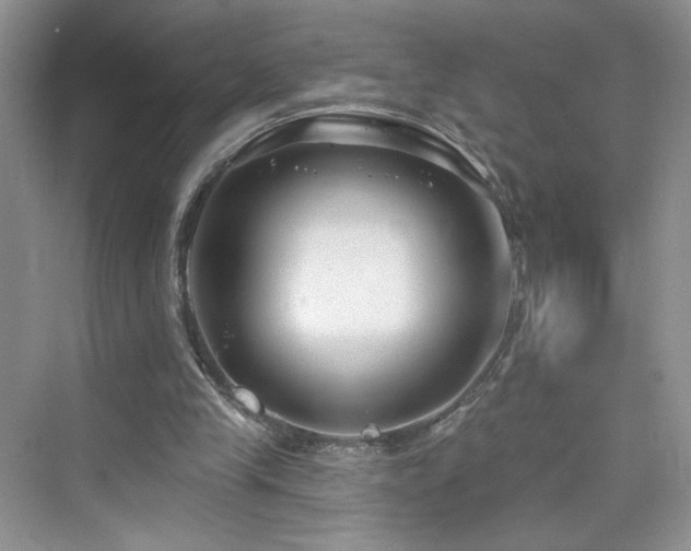 X0000076320245200609291101